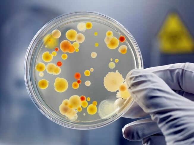 L'uso incontrollato di antibiotici provoca prostatite fungina