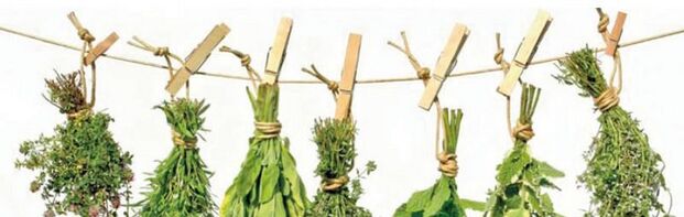 Erbe efficaci dalla prostatite