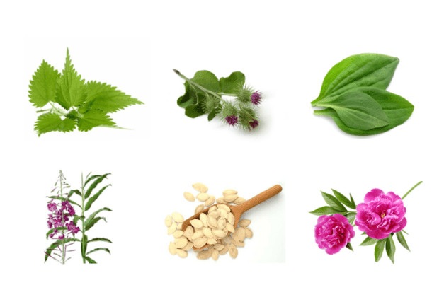Piante con prostatite