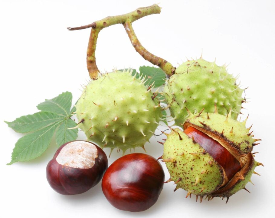 guscio di castagna per il trattamento della prostatite